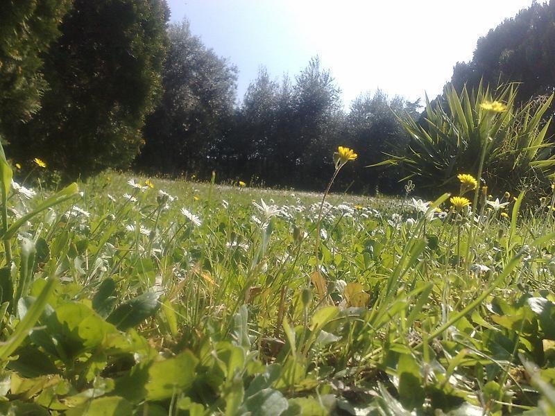 פראסקאטי Hotel Villa Maria Luigia מראה חיצוני תמונה