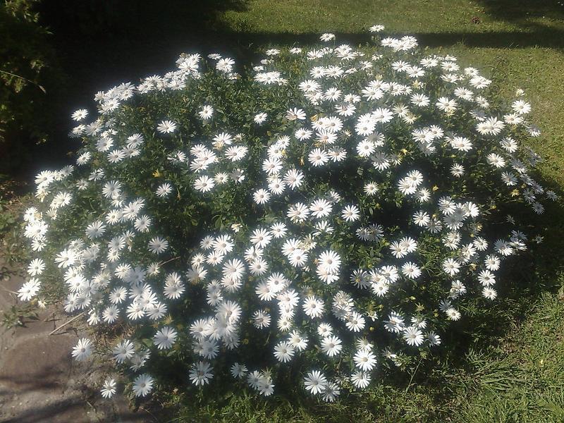 פראסקאטי Hotel Villa Maria Luigia מראה חיצוני תמונה