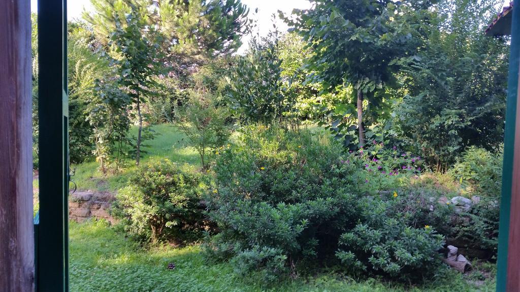 פראסקאטי Hotel Villa Maria Luigia חדר תמונה
