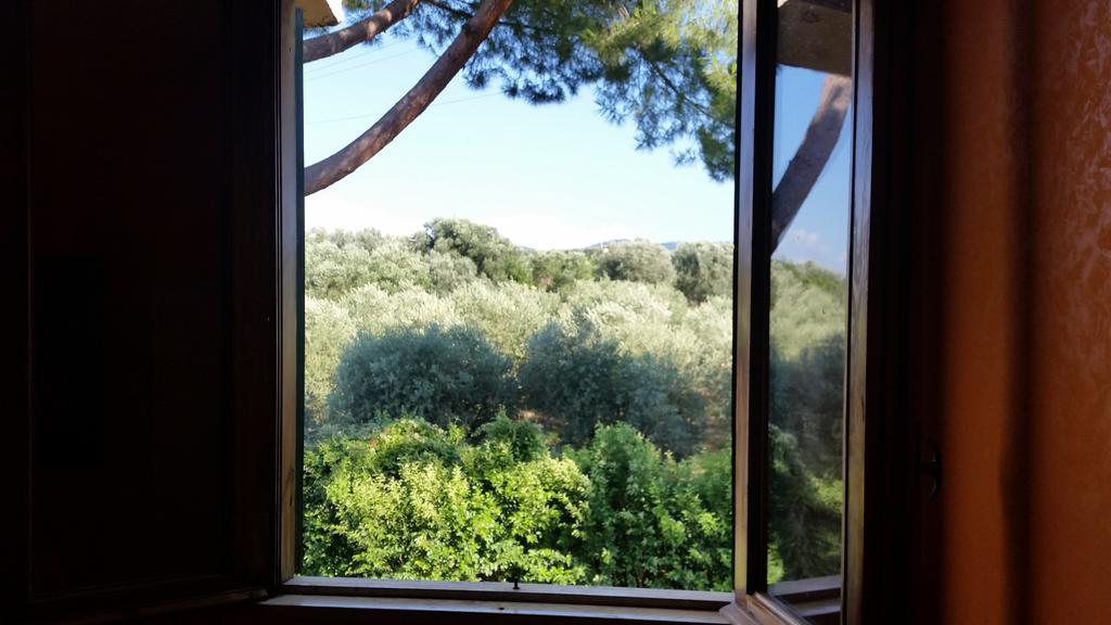 פראסקאטי Hotel Villa Maria Luigia חדר תמונה